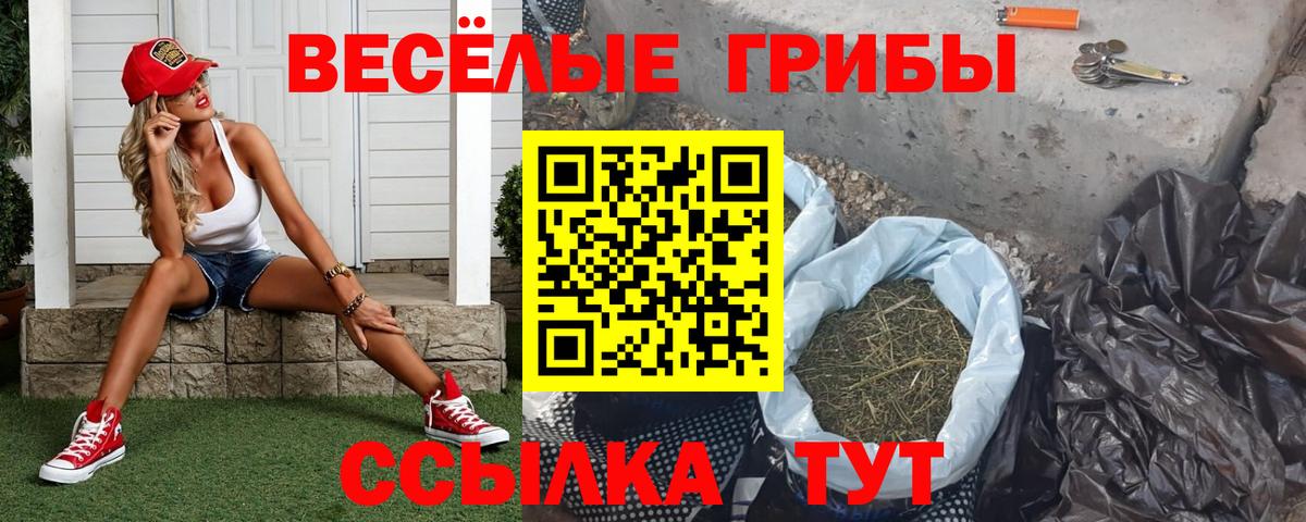 Псилоцибиновые грибы GOLDEN TEACHER  Галлюциногенные грибы Magic Shrooms  Реж  Вход с VPN 